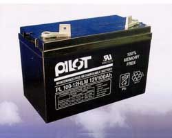 Sealed Lead-Acid Rechargeable Battery