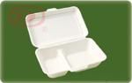 disposable lunchbox