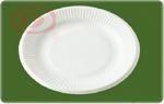 disposable plate