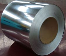 hot dip galvanized steel coil / sheet