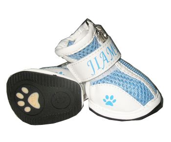 dog shoe