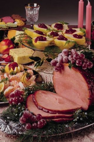 FOOD INGREDIENT SOY PROTEIN