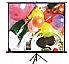 Tripod Screen
