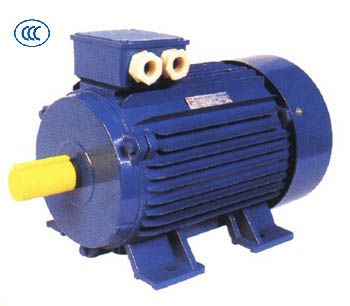 Y2 Three-Phase Motor