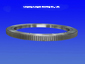Slewing bearing