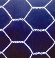 hexegonal wire mesh