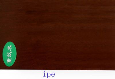 ipe