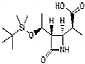 beta-methylazetidin-2-one(4BMA)