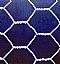 hexegonal wire mesh