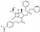 beta-methyl vinyl phosphateMAP