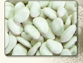 Jumbo Lima Beans