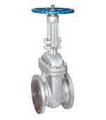 Class 600 Globe Valve