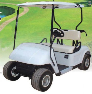 Two seat Electric Golf Buggy