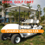 Four seat electric golf cart