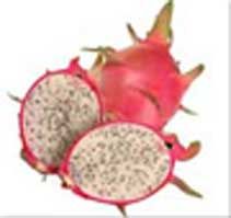 Dragon fruit