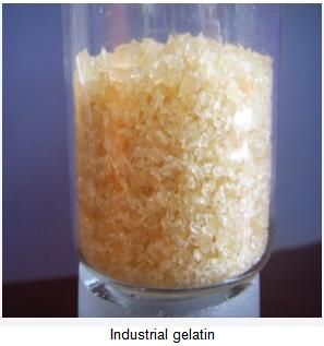 Industerial Gelatin