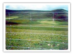 Wire Mesh for Grasslands