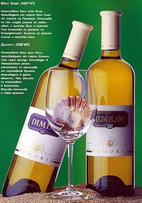 Uni Blank and Dimiat