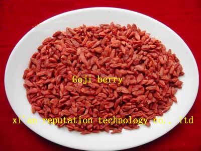organic goji berry