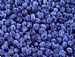 Blueberry anthocyanin