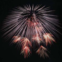 Celebration  fireworks