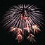 Celebration  fireworks