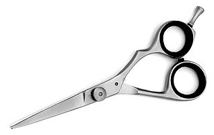Razor scissor