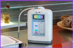 Water ionizer