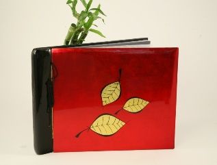 Album from Vietnam bamboo