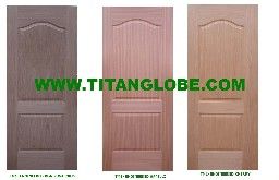 door skin