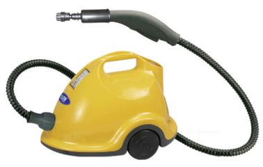 Rapid Steam Cleaner