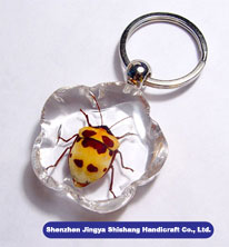 We supply Insect Amber Jewelry with high quality Very unique