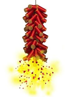 Fireworks - high quality firecrackers