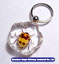 We supply Insect Amber Jewelry with high quality Very unique