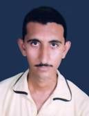 Peripherals and Accessories