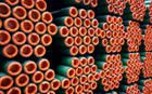 Seamless Steel Tubes and Pipes for Tubing