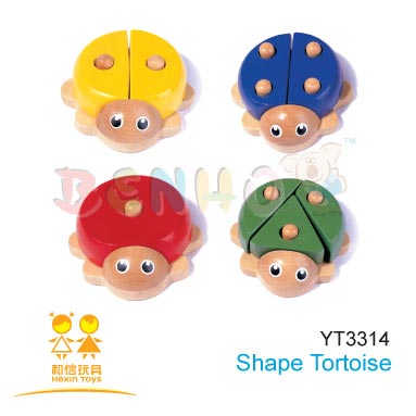 Shape Tortoise