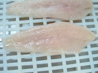 Pangasius