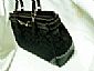 Coach Handbags