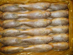 frozen yellow croaker