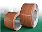 prepainted steel coil