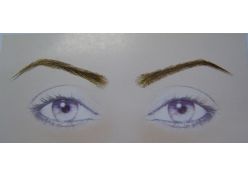 Eye Brows