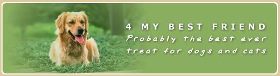 4 MY BEST FRIEND treats