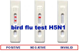 diagnostic rapid test