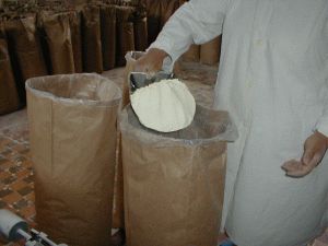 milk powder