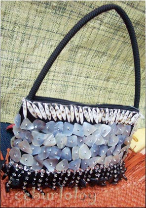 Evening Bag with Shells