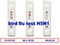 diagnostic rapid test