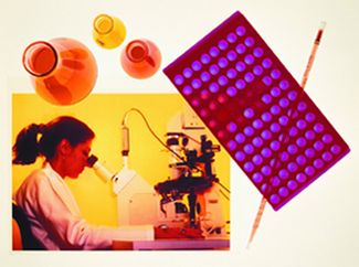 Anti Ractopamine Mab