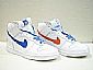 Nike dunk Mid 