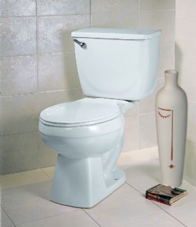Mansfield Two Piece Toilet